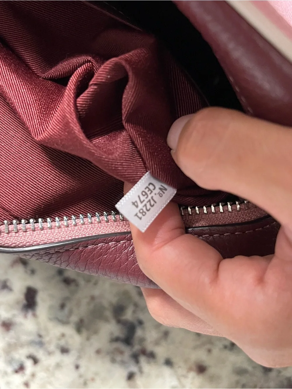 Coach Mini Jamie Camera Bag with Ski Speed Graphic in Powder Pink Wine Multi